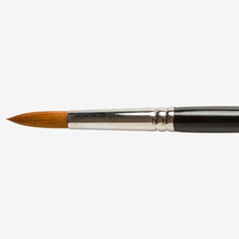 Load image into Gallery viewer, Pro Arte Prolene Brushes Series 101 Rounds - Round / 12
