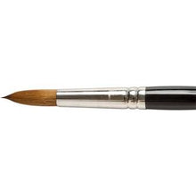Load image into Gallery viewer, Pro Arte Prolene Brushes Series 101 Rounds - Round / 14

