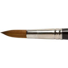 Load image into Gallery viewer, Pro Arte Prolene Brushes Series 101 Rounds - Round / 20
