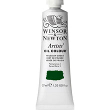 Load image into Gallery viewer, Winsor and Newton Professional Oils - 37ml / Prussian Green
