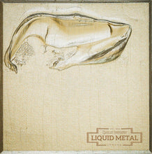 Load image into Gallery viewer, Roberson Liquid Metal Ink - Silver Verde
