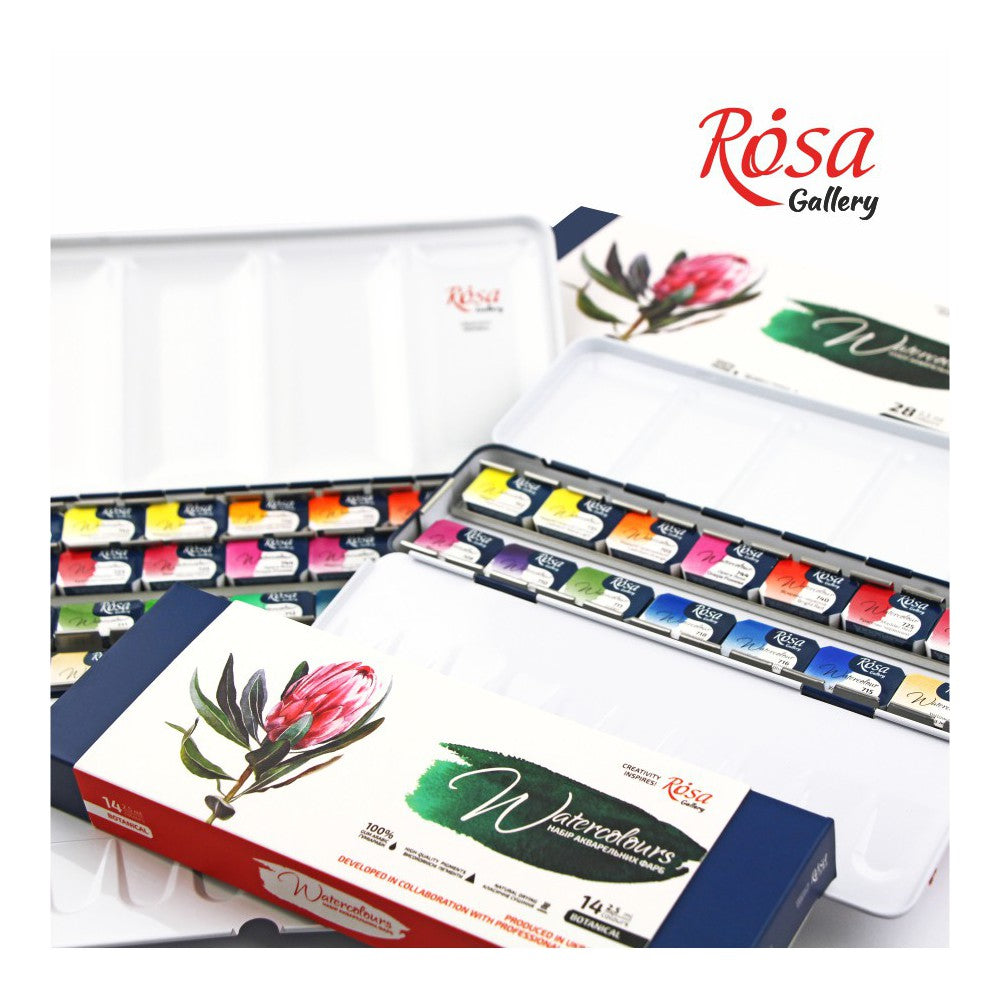 Rosa Fine Art Watercolours - Botannical 14