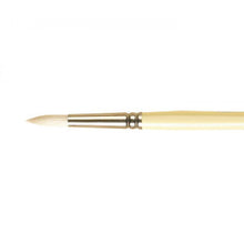 Load image into Gallery viewer, Pro Arte Series B Round Hog Brushes - 8 / Long Handle
