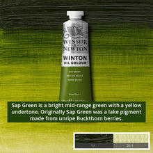 Load image into Gallery viewer, Winsor and Newton Winton Oil Paints - 37ml / Sap Green -
