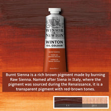 Load image into Gallery viewer, Winsor and Newton Winton Oil Paints - 37ml / Burnt Sienna -
