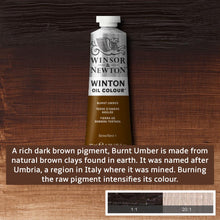 Load image into Gallery viewer, Winsor and Newton Winton Oil Paints - 37ml / Burnt Umber -
