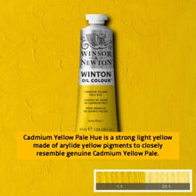Load image into Gallery viewer, Winsor and Newton Winton Oil Paints - 37ml / Cadmium Yellow Pale
