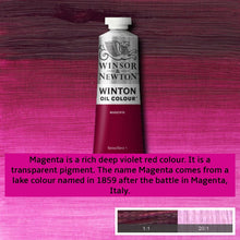 Load image into Gallery viewer, Winsor and Newton Winton Oil Paints - 37ml / Magenta - Paint

