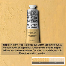 Load image into Gallery viewer, Winsor and Newton Winton Oil Paints - 37ml / Naples Yellow
