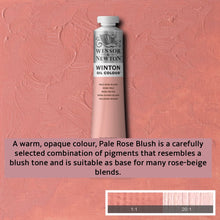 Load image into Gallery viewer, Winsor and Newton Winton Oil Paints - 37ml / Pale Rose Blush
