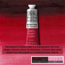 Load image into Gallery viewer, Winsor and Newton Winton Oil Paints - 37ml / Permanent Crimson Lake
