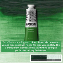 Load image into Gallery viewer, Winsor and Newton Winton Oil Paints - 37ml / Terre Verte -
