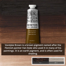 Load image into Gallery viewer, Winsor and Newton Winton Oil Paints - 37ml / Vandyke Brown -
