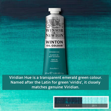 Load image into Gallery viewer, Winsor and Newton Winton Oil Paints - 37ml / Viridian Hue -
