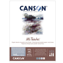 Load image into Gallery viewer, Canson Mi-Teintes Pastel Paper
